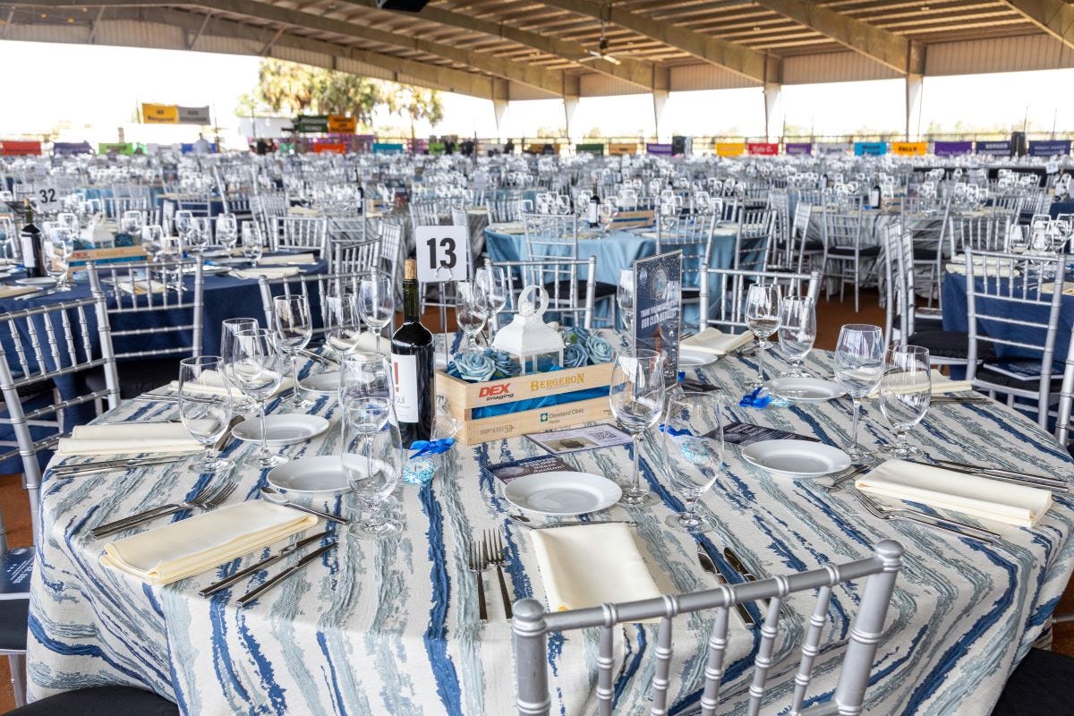 Blue Sansa Linen at a Gala
