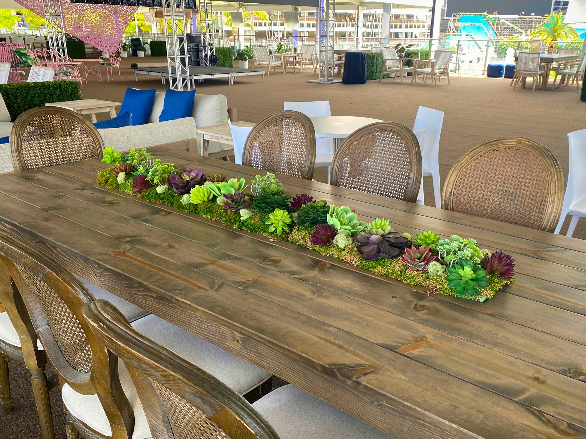 rented wood tables and cane back chairs with succulent centerpieces