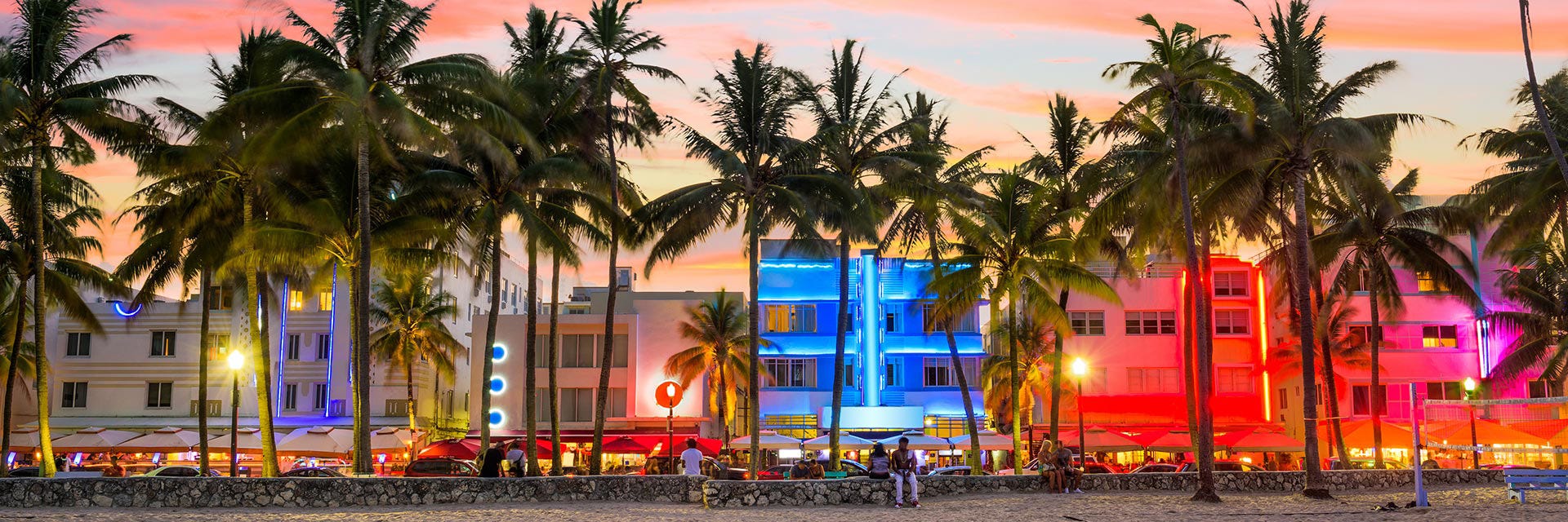 Miami Scene with Palm Trees